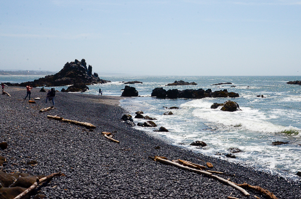 Beach at Yaquina Head
