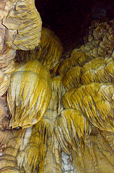 Oregon Caves
