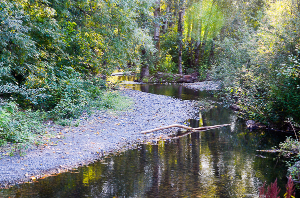 Multnomah Creek
