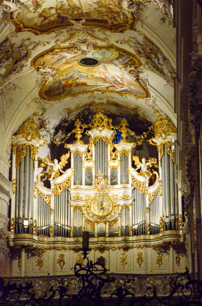 Organ