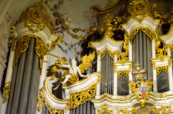 Organ detail