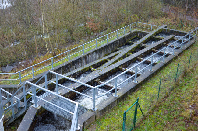 Fish ladder