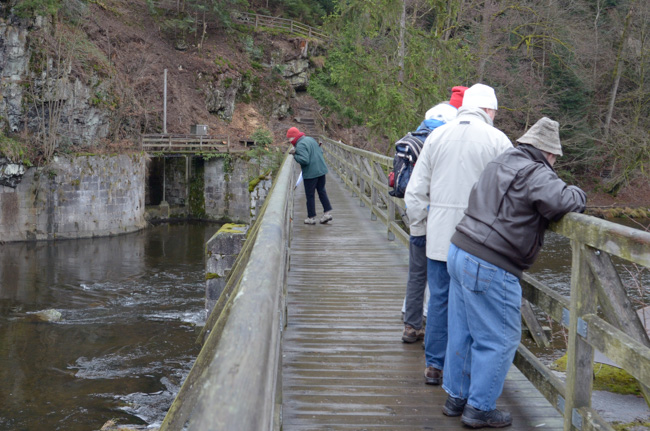 Logging bridge