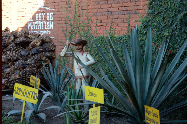 Demonstration garden