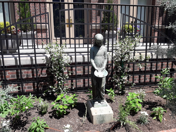 Mutter Museum Garden