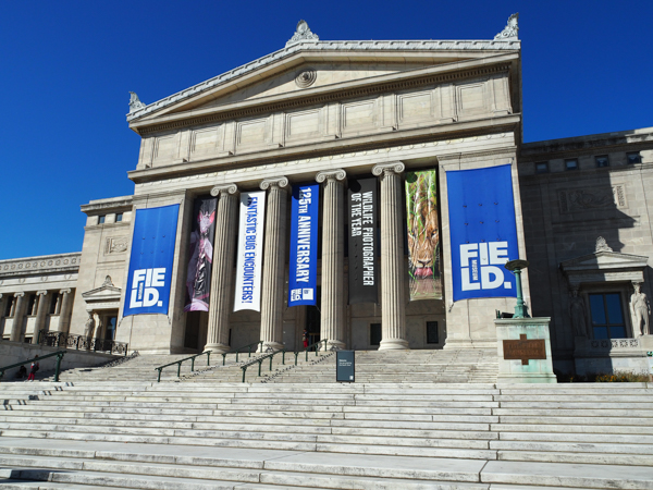 Field Museum