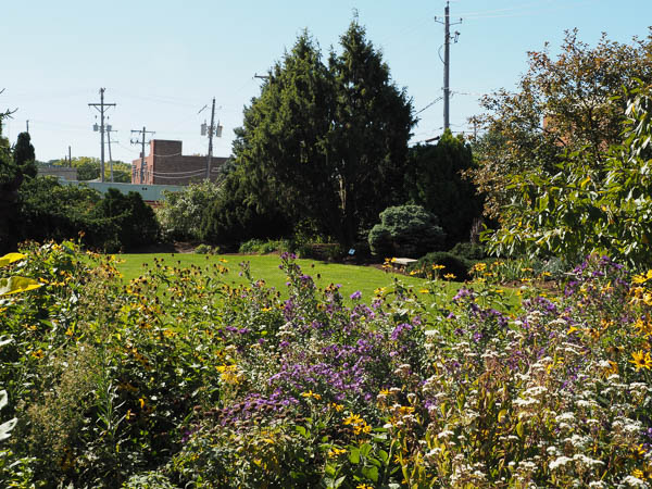 Quad Cities Botanical Garden