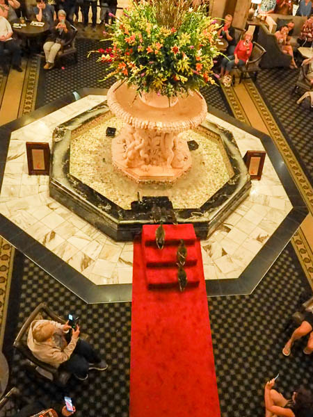 Peabody Ducks