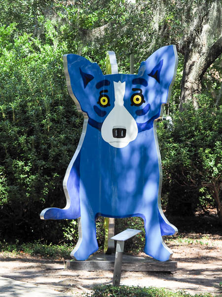 Blue Dog