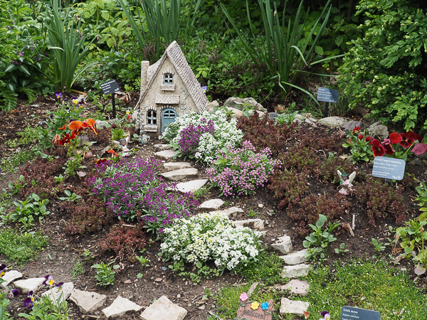 Fairy garden