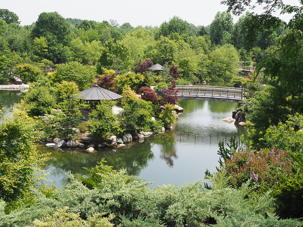 Japanese Garden