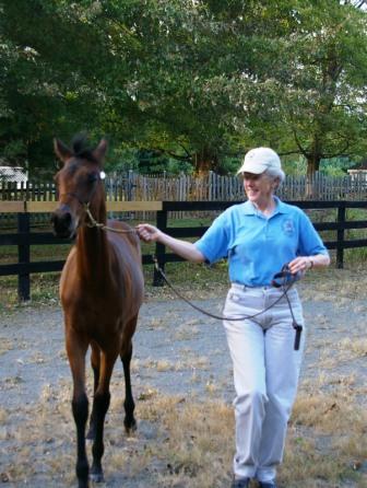 Weanling Bella