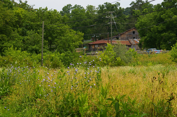 Old Buena Vista Road