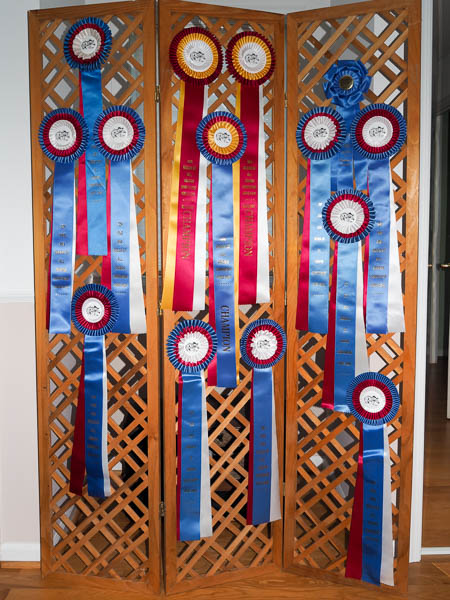 Region 15 Ribbons