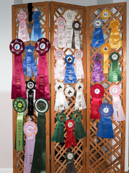 Schooling show ribbons