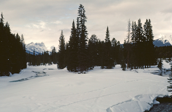 Bow River, Lake Louise