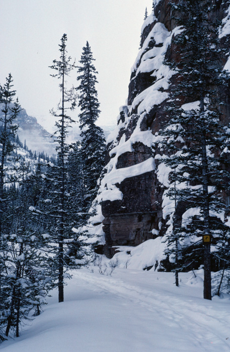 Lakeshore trail