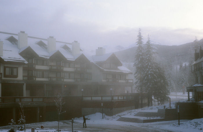 View in the fog