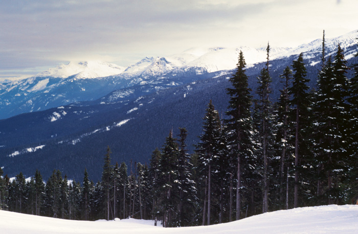 Whistler