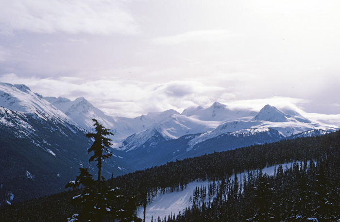 Whistler Summit