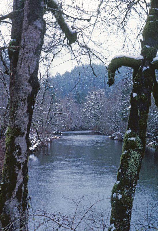 Oregon River