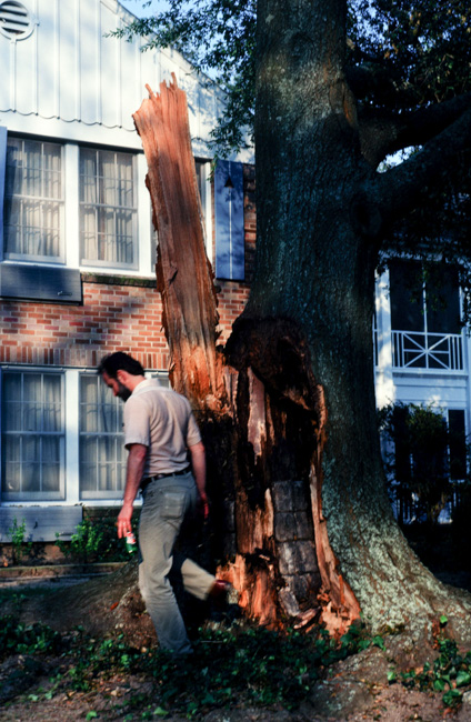 Blasted Oak