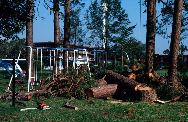 Pick-up sticks