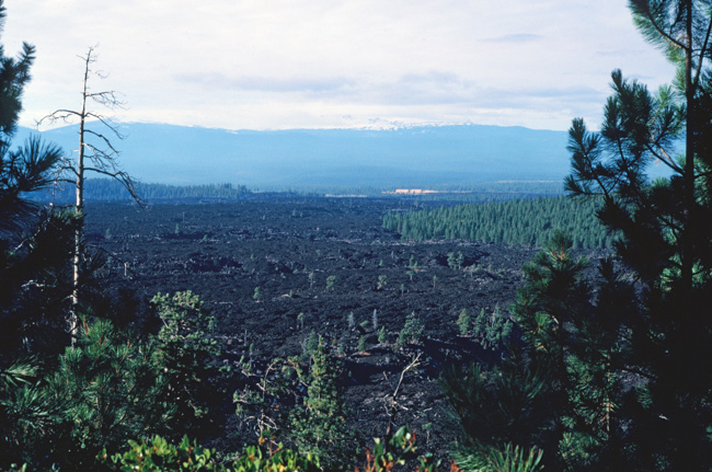 Lava Field