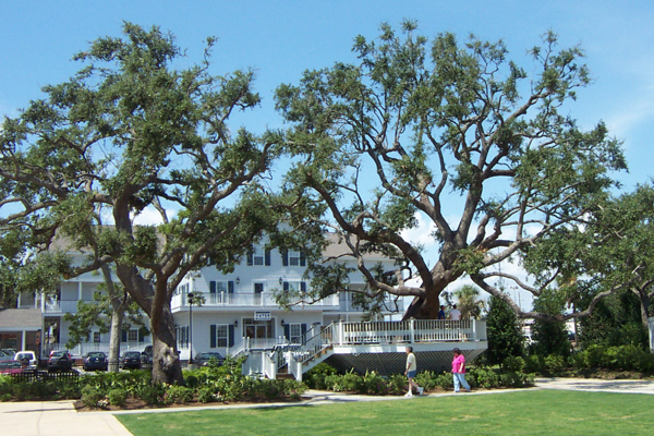 Katrina Memorial Park