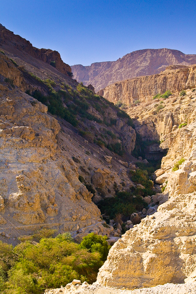 Ein Gedi
