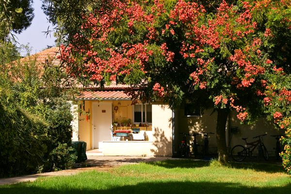Lavi modern residence