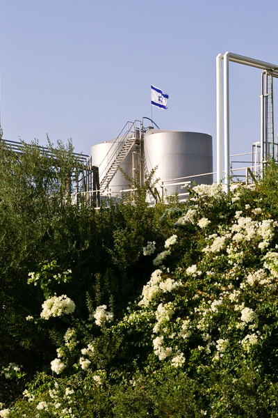 Golan Heights Winery
