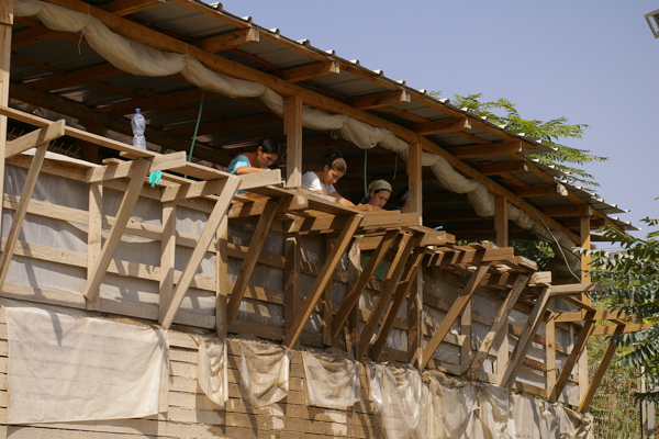 The City of David