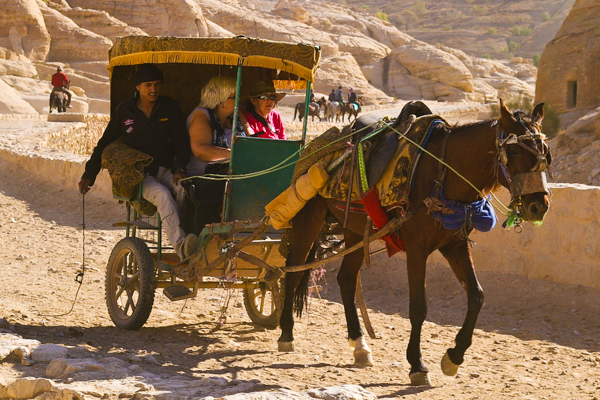 Chariot