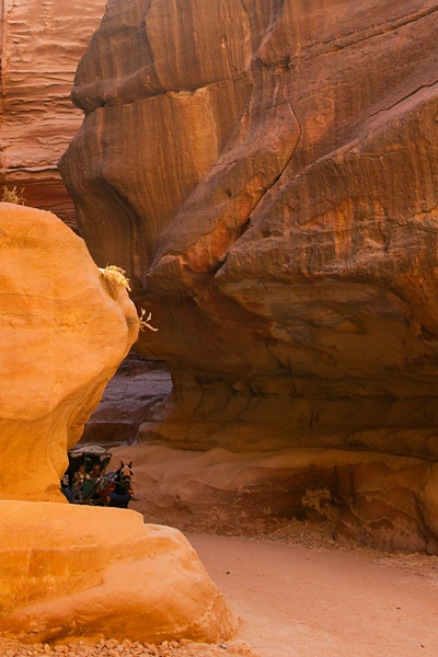 Chariot in the siq