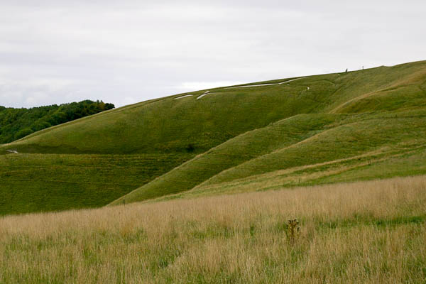 White Horse Downs