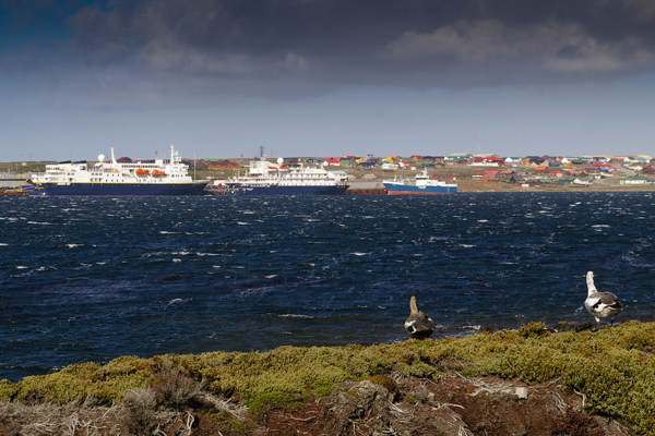Stanley harbor