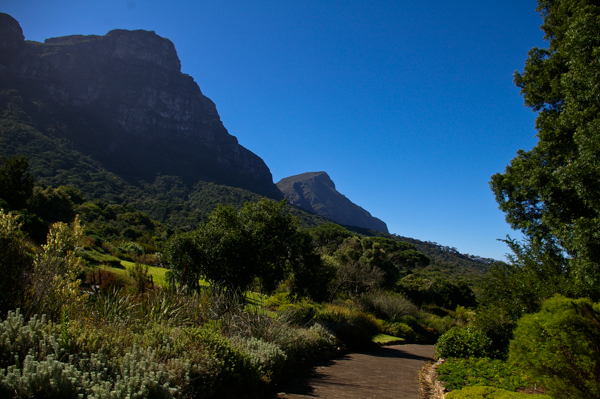 Kirstenbosch Botanical Garden