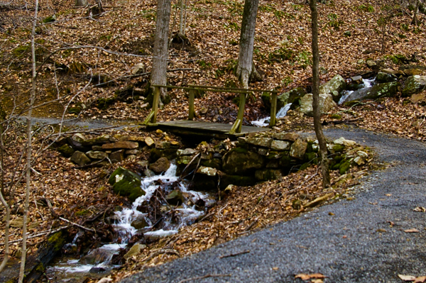 North Trail 1