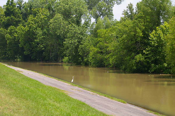 Levee trail