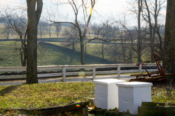 Pleasant Hill Landscape