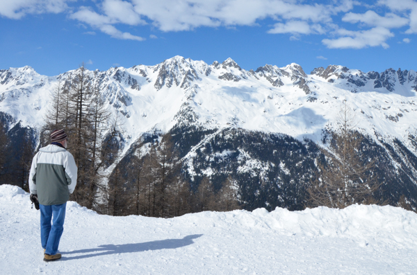 Flegere
