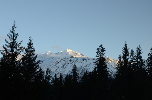 View from our window