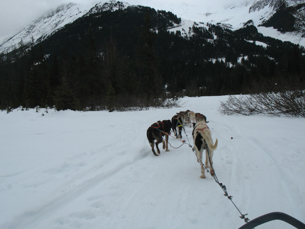 View from the front of the sled