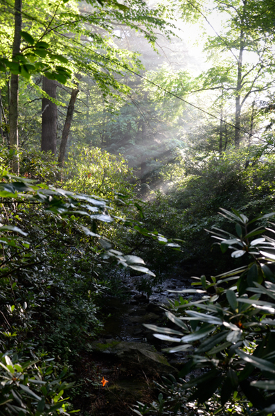 Early morning at Montreat
