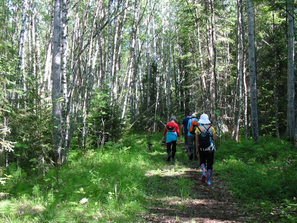 Hiking Trail