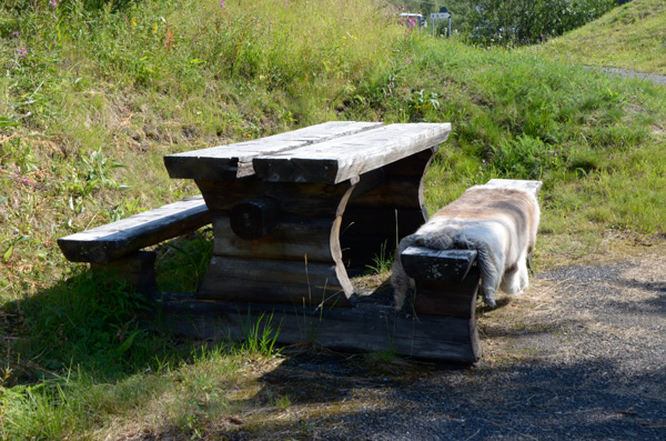 Picnic Table