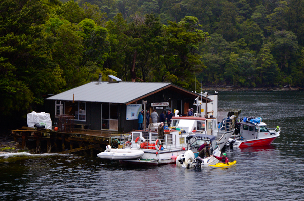 Blanket Bay "Hotel," Doubtful Sound