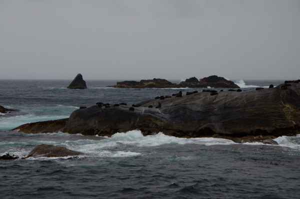 Tasman Sea