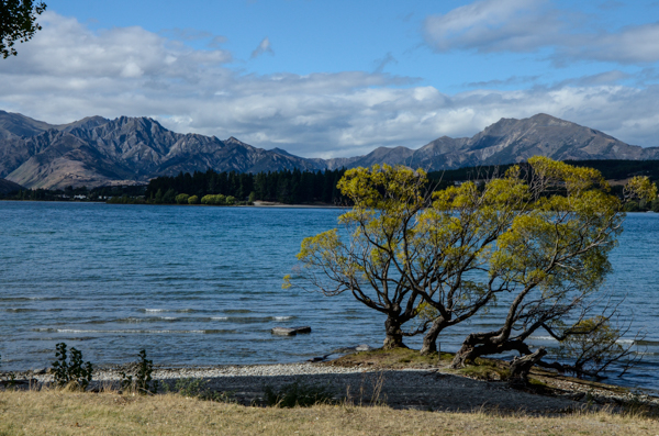 Lake Wanaka